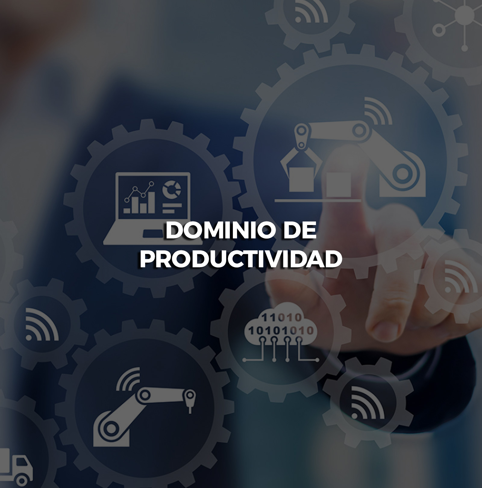 dominio-productividad