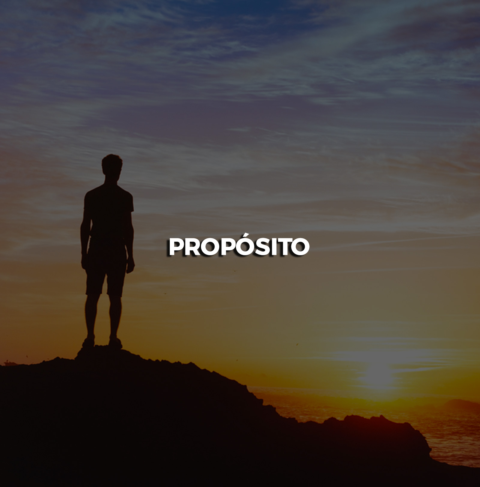 dominio-proposito
