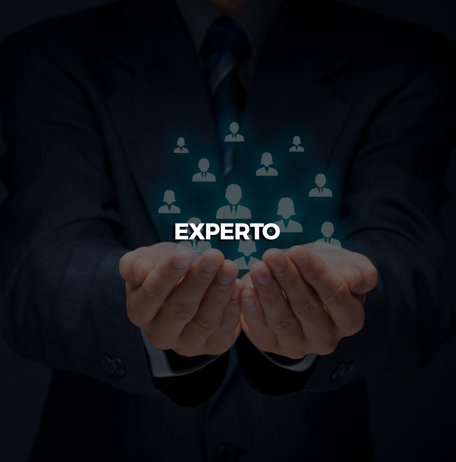 experto