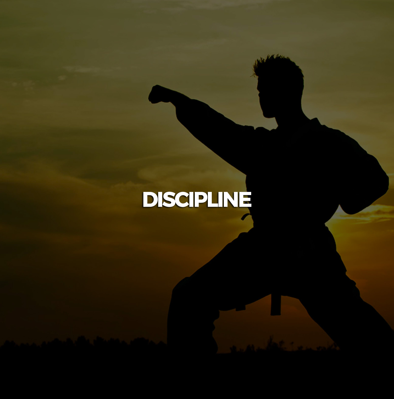 Discipline
