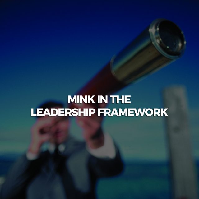 Mink-in-the-leadership-framework